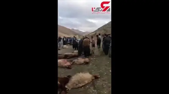 حمام خون در جاده مریوان سقز + فیلم