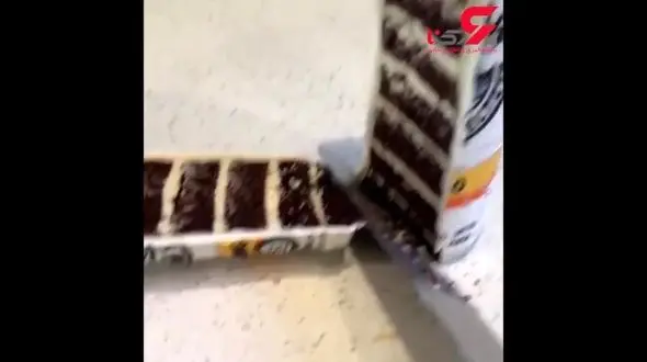 استعداد خارق العاده یک نانوا +فیلم