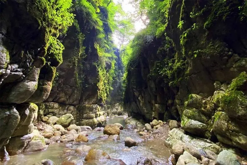 تنگ دار در نوشهر