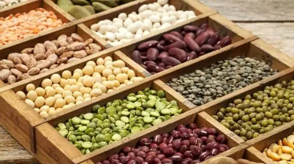 حبوبات و اسیداوریک: آیا باید نگران باشید؟