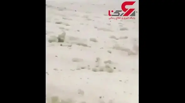لحظه فرود وحشتناک بدون چرخ فوکر ١٠٠ هواپیمایی آسمان در زاهدان +فیلم