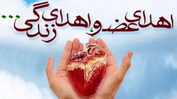 جوان 24 ساله مشهدی با اهدای اعضا، ۷ زندگی را نجات داد