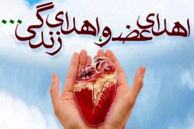 جوان 24 ساله مشهدی با اهدای اعضا، ۷ زندگی را نجات داد