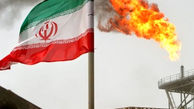 جزییات عجیب از بازداشت 17 جاسوس نفتی ایران / میثم شرفی:حس بازیگری فیلم های جاسوسی داشتم!