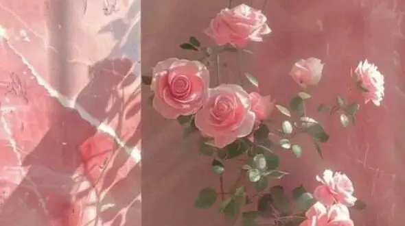 فال ابجد جذاب امروز 18 شهریور  + فیلم