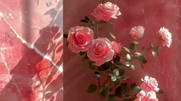 فال ابجد جذاب امروز 18 شهریور  + فیلم