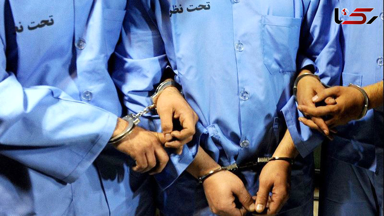 بازداشت دزدان باند گربه‌ تهران 