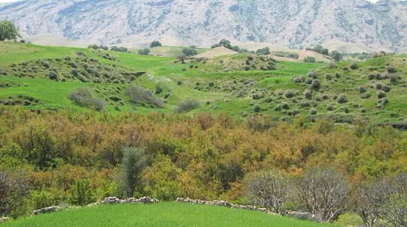 ببینید / طبیعت زیبای اندیکا در شمال خوزستان + فیلم 