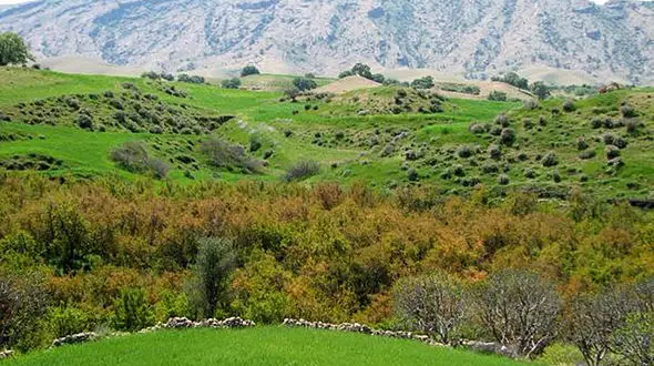 ببینید / طبیعت زیبای اندیکا در شمال خوزستان + فیلم 