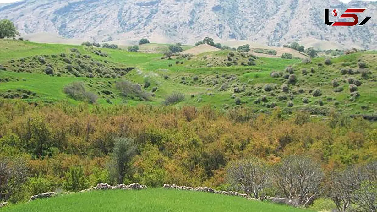 ببینید / طبیعت زیبای اندیکا در شمال خوزستان + فیلم 