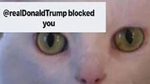 ترامپ گربه را در توییتر بلاک کرد+عکس
