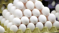 تخم مرغ ارزان شد/ کمبودی در تولید تخم مرغ نداریم