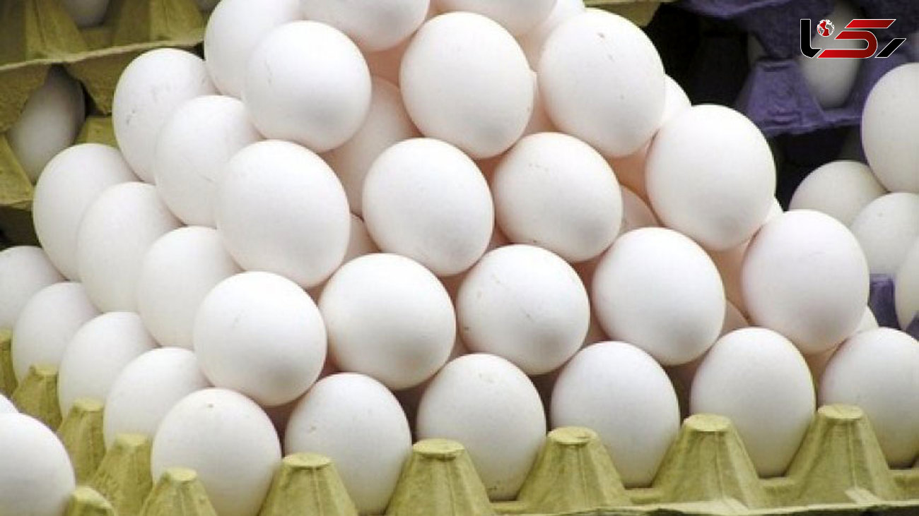 قیمت تخم مرغ در بازار امروز یکشنبه ۱۱ خرداد