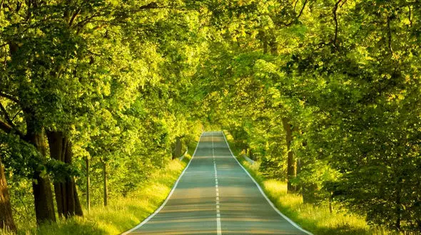 طبیعت پاییزی قره داغ