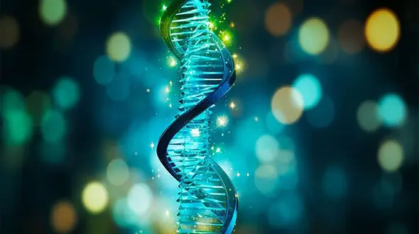 راز ساخت سازه‌ های سه‌ بعدی با DNA و آب