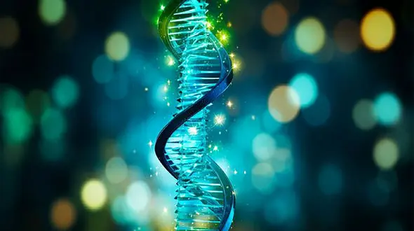 راز ساخت سازه‌ های سه‌ بعدی با DNA و آب