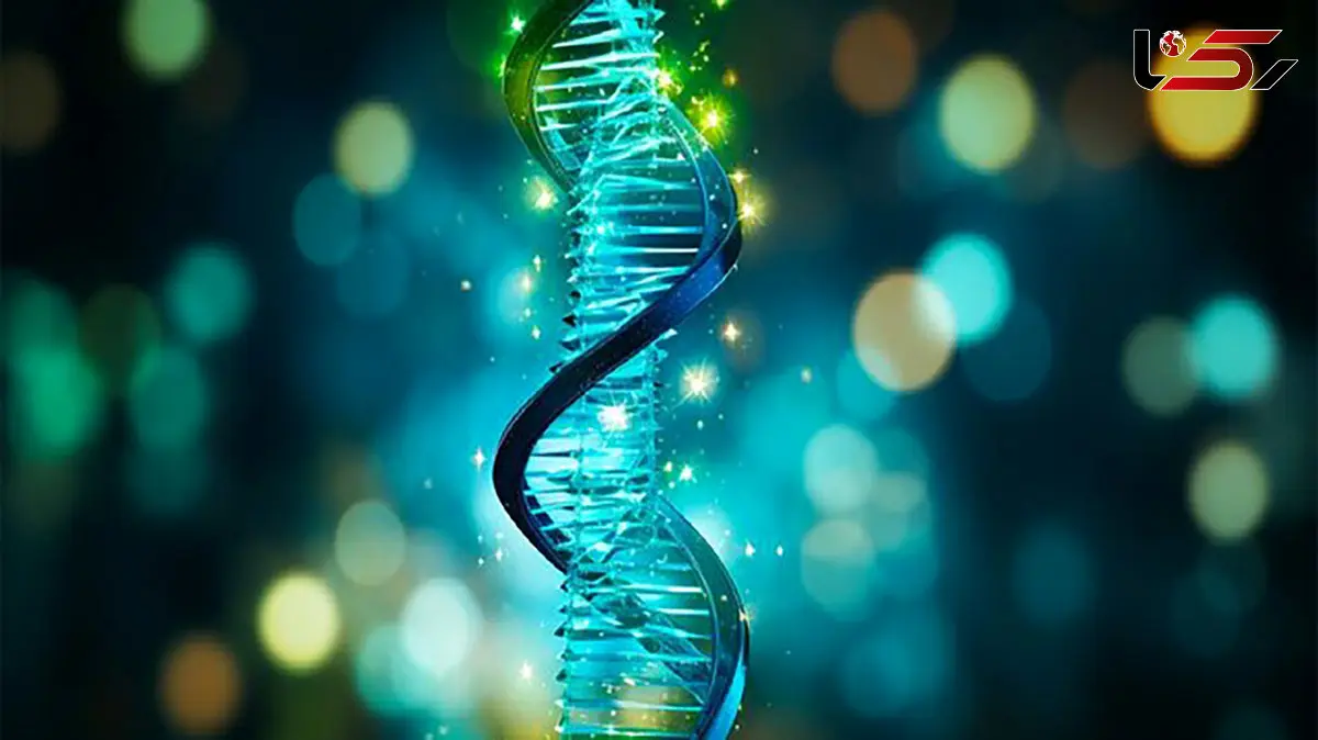 راز ساخت سازه‌ های سه‌ بعدی با DNA و آب