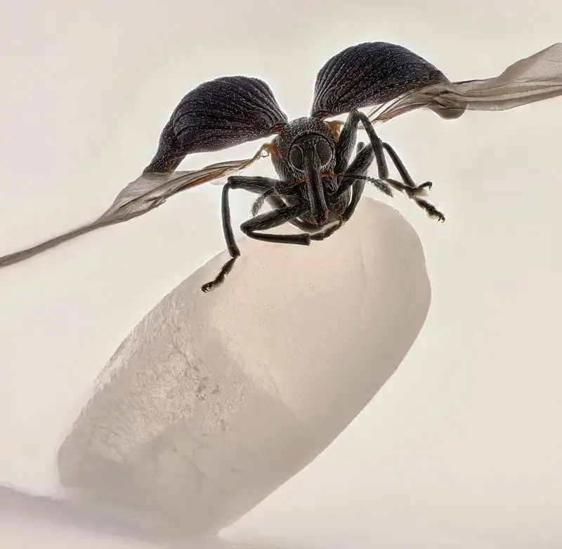 تصاویر علمی