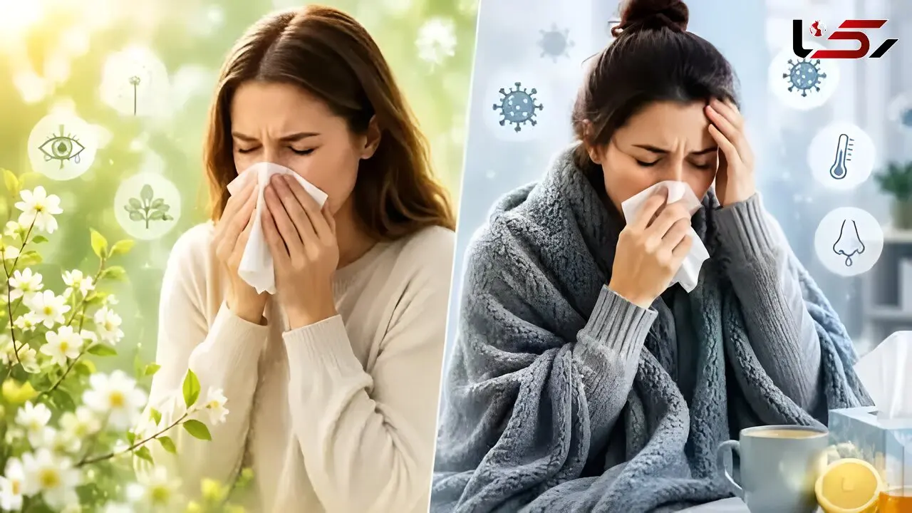 تب و بدن‌ درد را به حساب آلرژی نگذارید؛ تفاوت حساسیت و عفونت‌ های ویروسی چیست؟