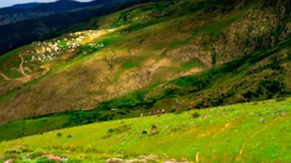 از دشت مخملی سوسن تا حال و هوای طبیعت بکر