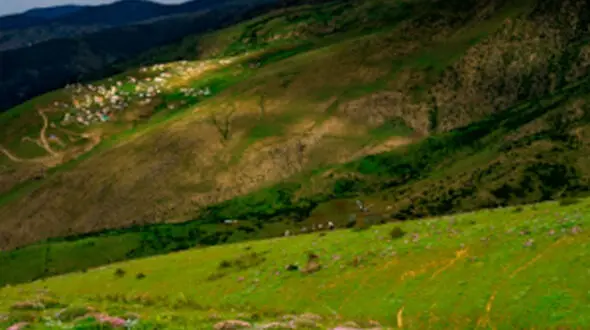 از دشت مخملی سوسن تا حال و هوای طبیعت بکر