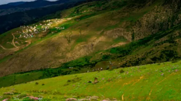 از دشت مخملی سوسن تا حال و هوای طبیعت بکر