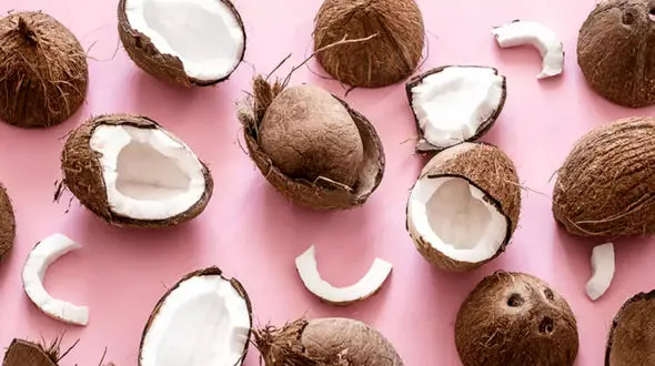 خواص نارگیل 