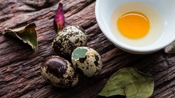 رشد مغزی نوزاد در گرو این خوشمزه پر خاصیت