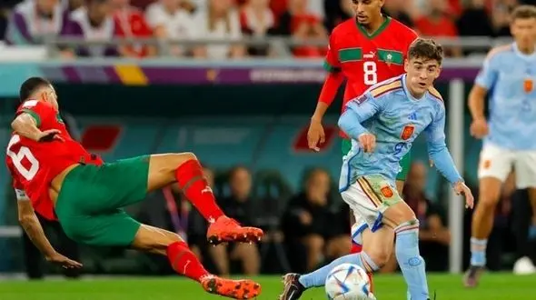 حضور حیوانات درنده در بازی اسپانیا با مراکش+ تصاویر