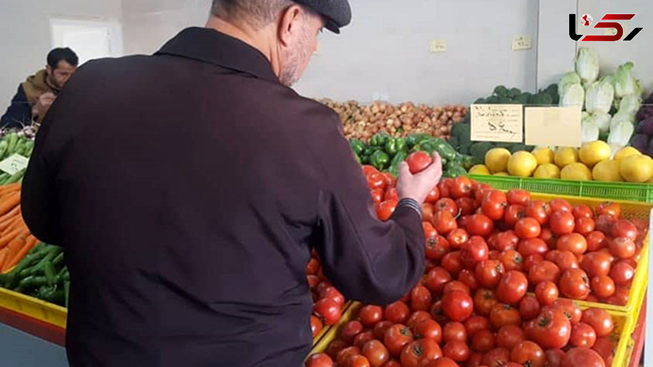 «گوجه فرنگی گلخانه‌ای» در میادین میوه و تره بار 2 هزار تومان ارزان شد