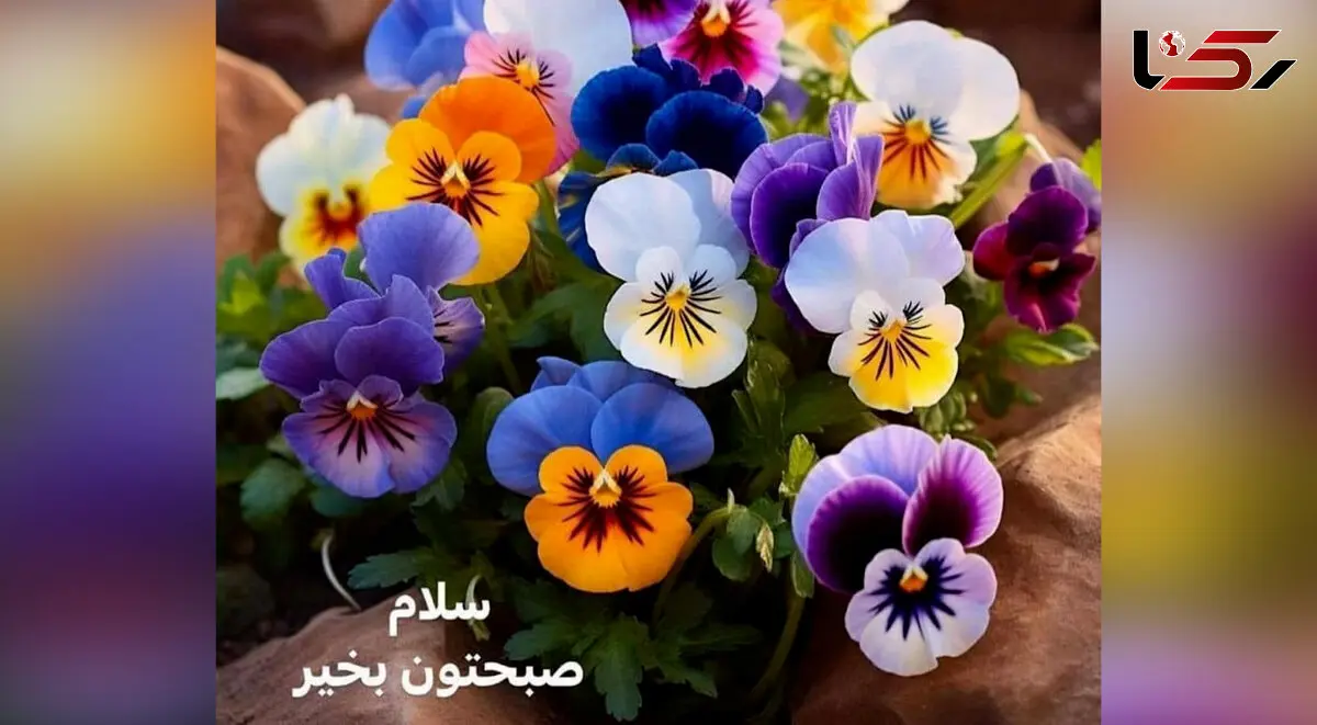 تفسیر فال روزانه 14 خرداد ماه