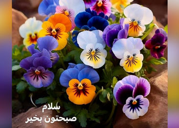 تفسیر فال روزانه 14 خرداد ماه