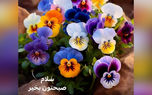 تفسیر فال روزانه 14 خرداد ماه