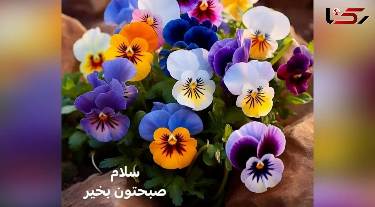 تفسیر فال روزانه 14 خرداد ماه