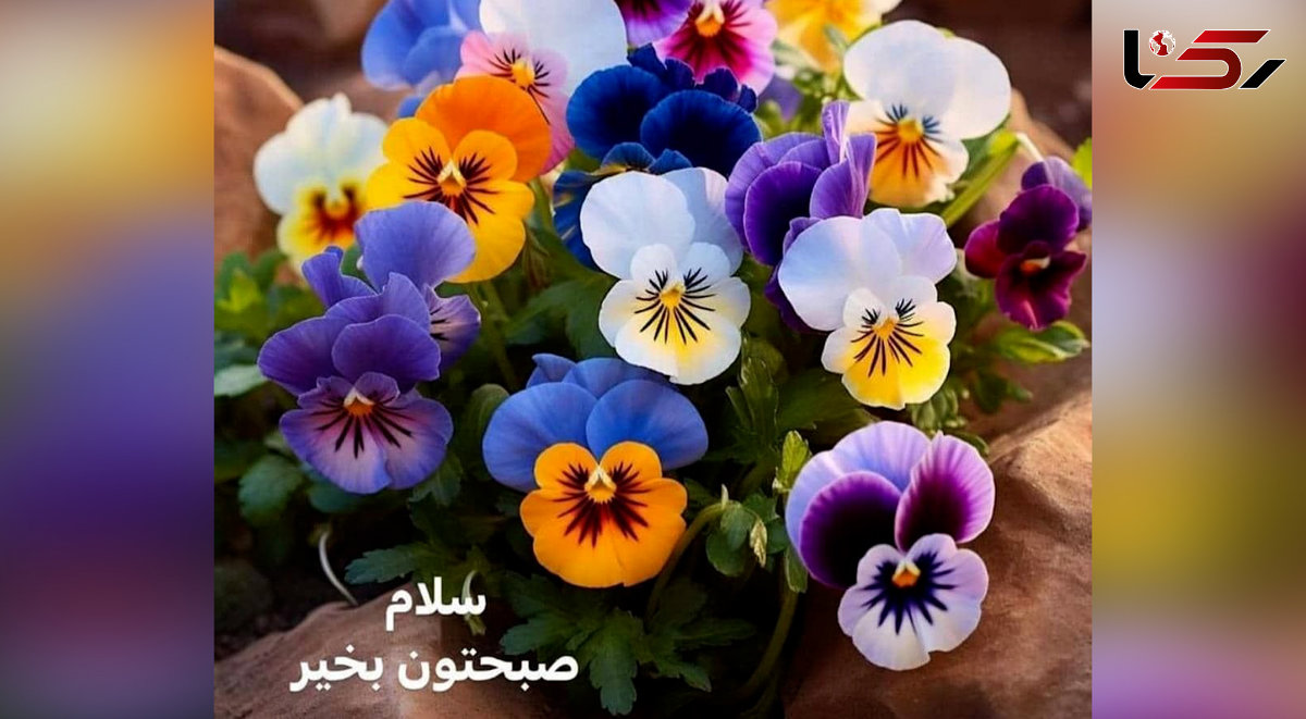 تفسیر فال روزانه 14 خرداد ماه