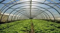 اشتغالزایی برای ۶۷۸ نفر با افتتاح طرح‌های کشاورزی در همدان