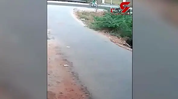 لحظه نفس گیر حمله مار وحشی به 2 دوچرخه سوار + فیلم
