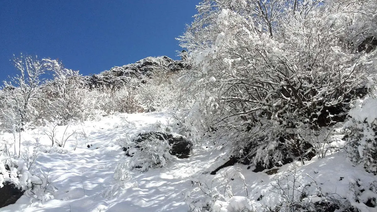 جاده چالوس و پیچ‌های برفی / قصه‌ی زمستانی چالوس