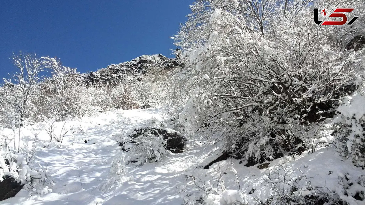 جاده چالوس و پیچ‌های برفی / قصه‌ی زمستانی چالوس + فیلم