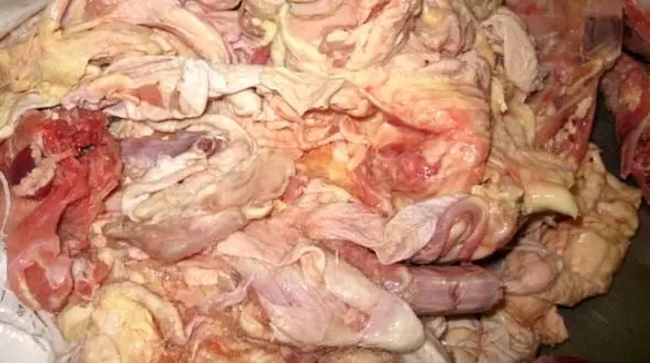 تولید گازوئیل از چربی مرغ