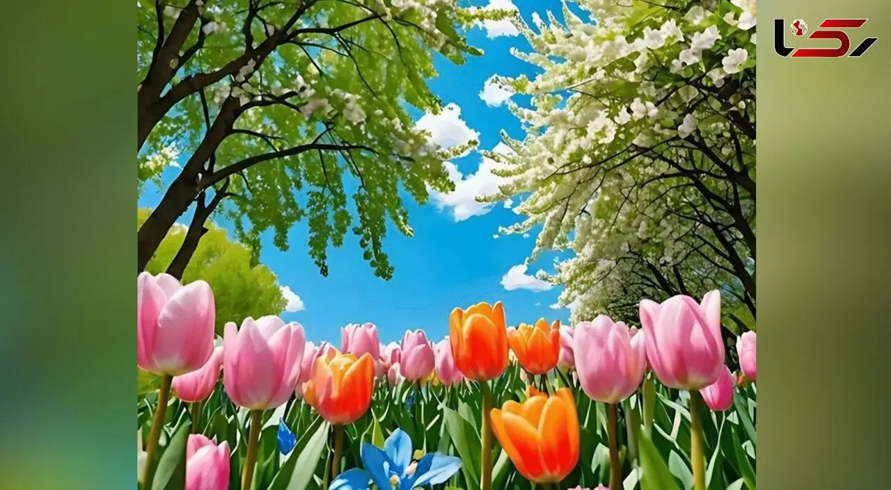 فال حافظ امروز 27 دی 