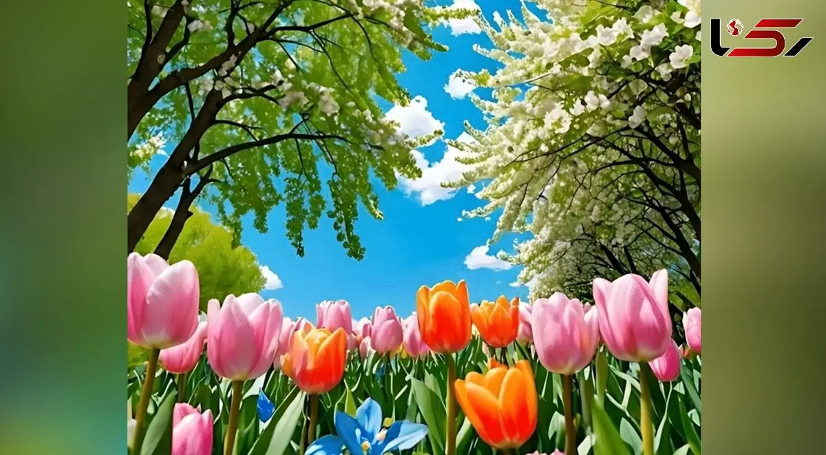 فال حافظ امروز 27 دی 