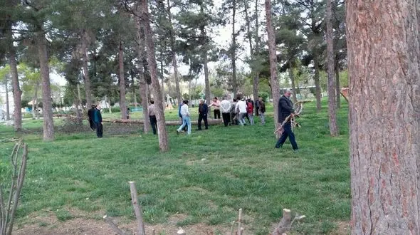 اتفاق تلخ برای درختان پارک پارس آباد + فیلم و عکس