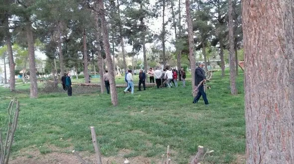 اتفاق تلخ برای درختان پارک پارس آباد + فیلم و عکس