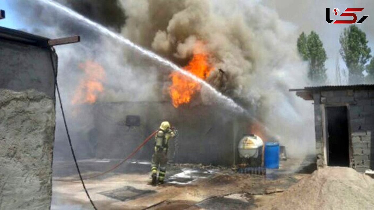 آتش سوزی هولناک در یافت آباد / آتش نشانان به موقع رسیدند + فیلم