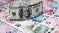 ارزش پول ملی ترکیه در سال اخیر چقدر کاهش داشته است؟