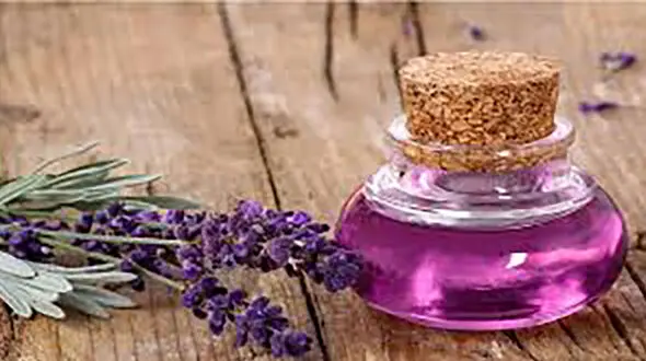 فرمول های سلامتی با روغن اسطوخودوس 
