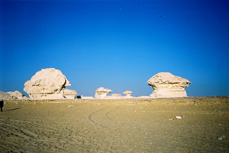 بیابانی در مصر