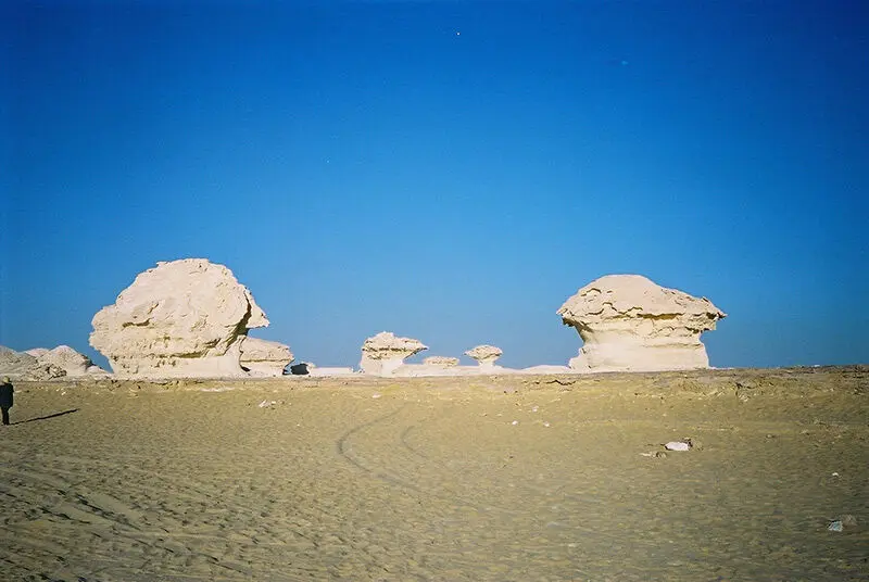 بیابانی در مصر