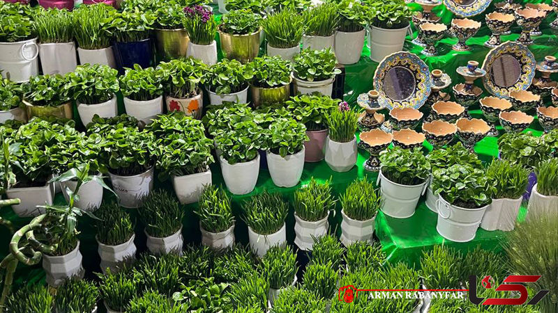حال و هوای عید در تئاتر شهر و میدان ولیعصر